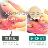 フジテックス 耐水紙 パウチフリー A4 PETタイプ (200μ)