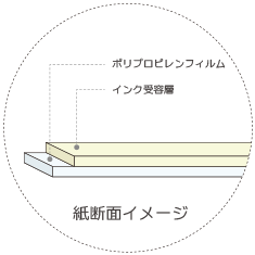 紙断面イメージ